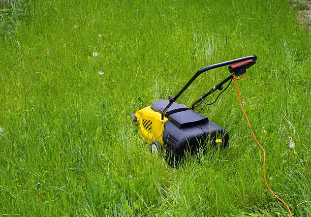 Can you mow wet grass St George, UT