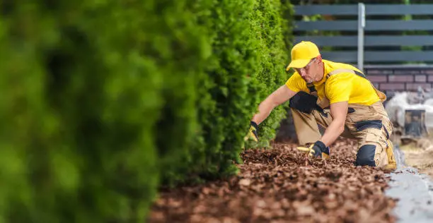 How Long Does Mulch Last St George, UT