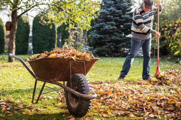 How To Clean A Backyard St George, UT