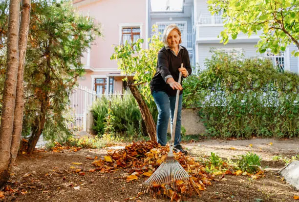 How To Clean A Backyard in St George, UT