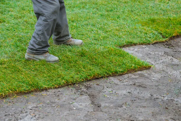 How long after installing sod can you walk on it in St George, UT