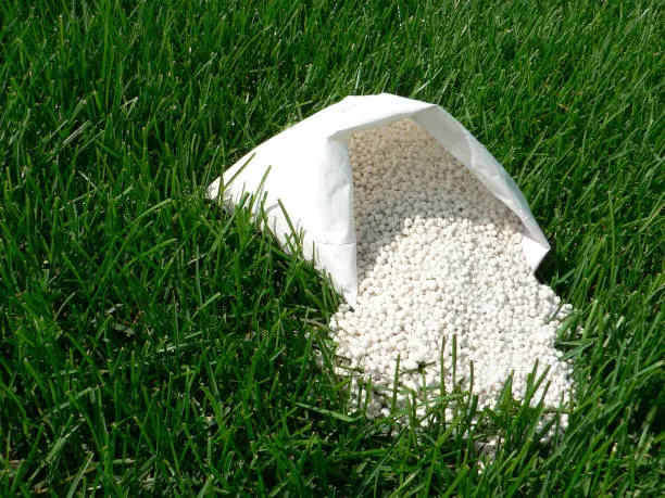 How often should you fertilize your lawn St George, UT