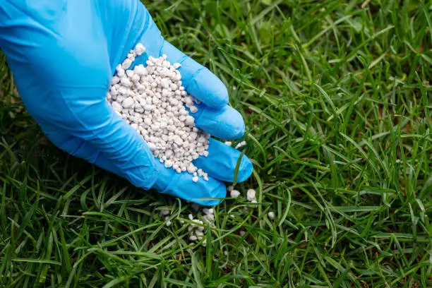 How often should you fertilize your lawn in St George, UT