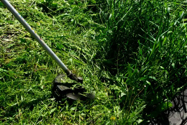 How to clear a yard full of weeds in' St George, UT