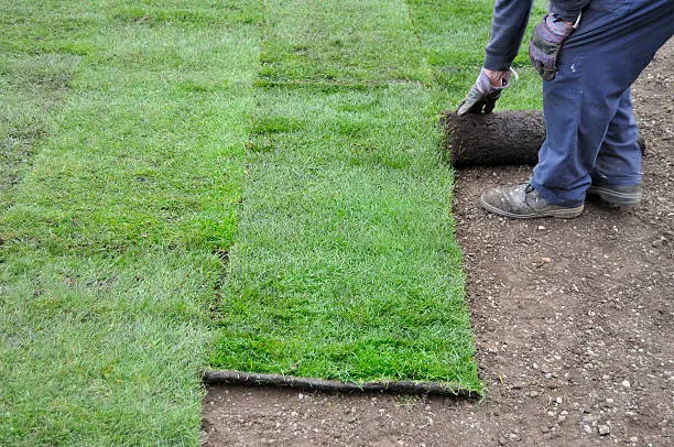 How to lay sod over existing lawn in St George, UT