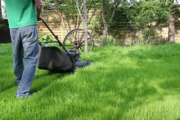 Reliable Lawn Mowing in St George, UT