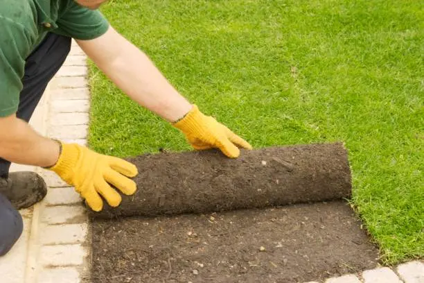 Sod Installation St George, UT