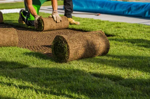 Sod Installation in St George, UT