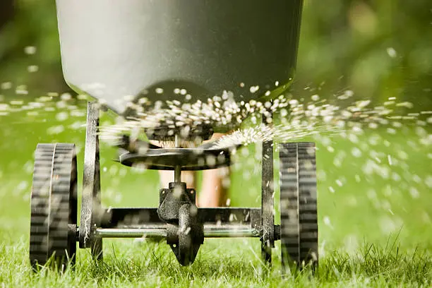 When is the best time to fertilize your lawn in St George, UT